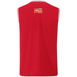 Heimtrikot 1. Mannschaft