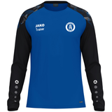 Longsleeve Sonic Trainer