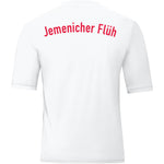 Trikot Team Jemenicher Flüh