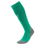 teamLIGA Socks CORE